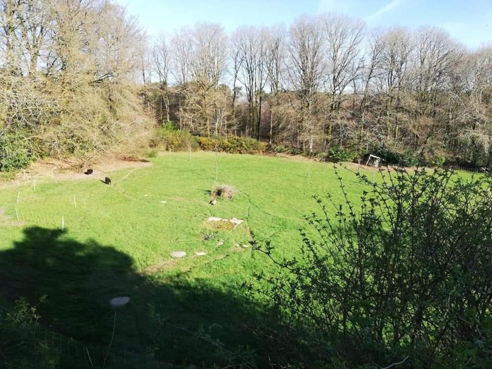 Manoir Du Tertre Au Coeur De La Foret De Broceliande Hotel แปงปง ภายนอก รูปภาพ