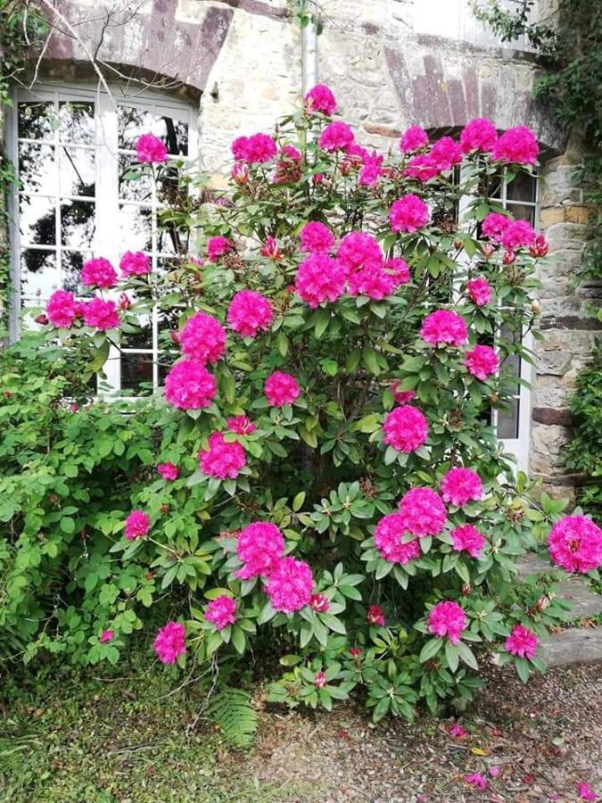 Manoir Du Tertre Au Coeur De La Foret De Broceliande Hotel แปงปง ภายนอก รูปภาพ