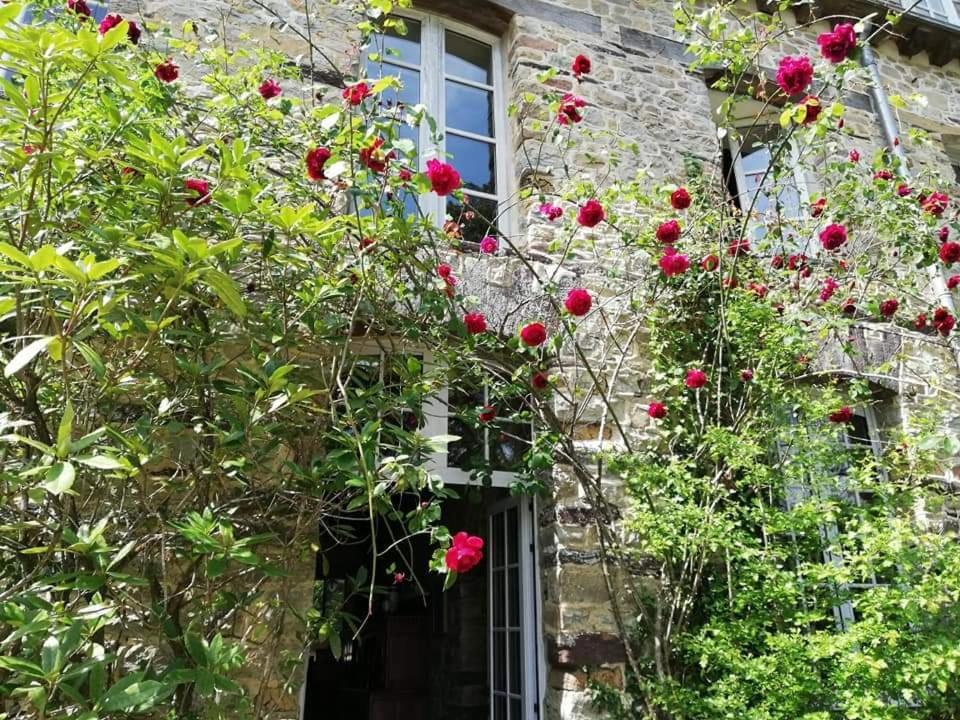 Manoir Du Tertre Au Coeur De La Foret De Broceliande Hotel แปงปง ภายนอก รูปภาพ